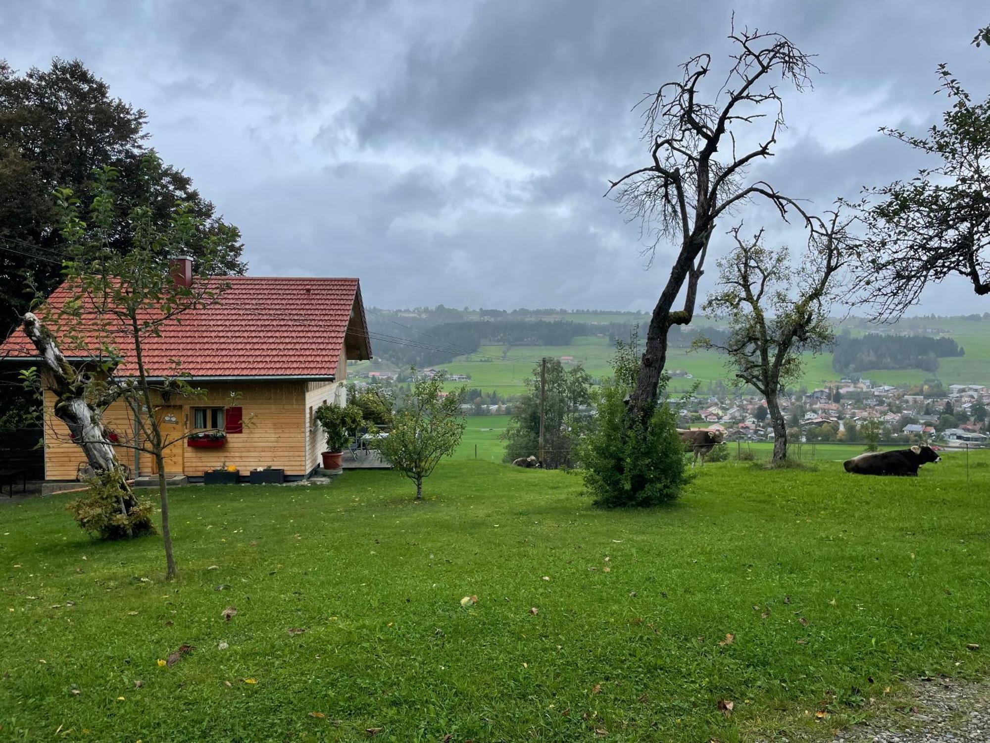 Ferienhaus Talblick Вайлер-Зиммерберг Экстерьер фото